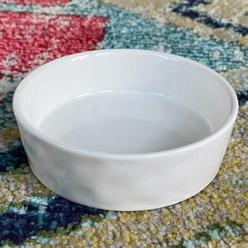 Rae Dunn SLURP Pet Bowl Small Ceramic Dog Cat Food Water Dish